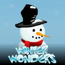 Winter Wonders