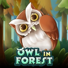 Owl In Forest