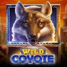 Wild Coyote