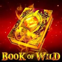 Book Of Wild