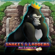 Snakes and Ladders Megadice