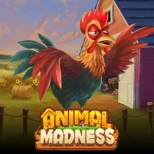 Animal Madness